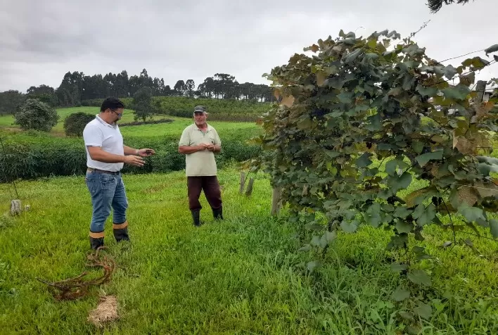Senar/SC promove 257 treinamentos gratuitos em maio no Estado