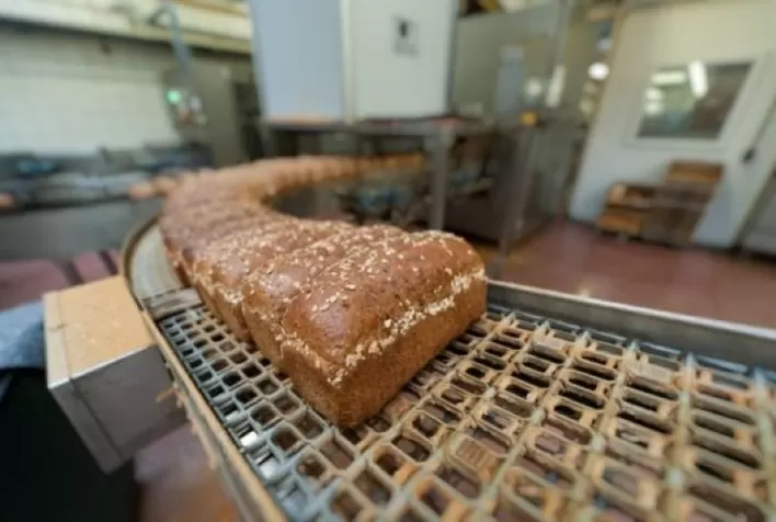 Indústria de massas e pães avalia exportar para os EUA
