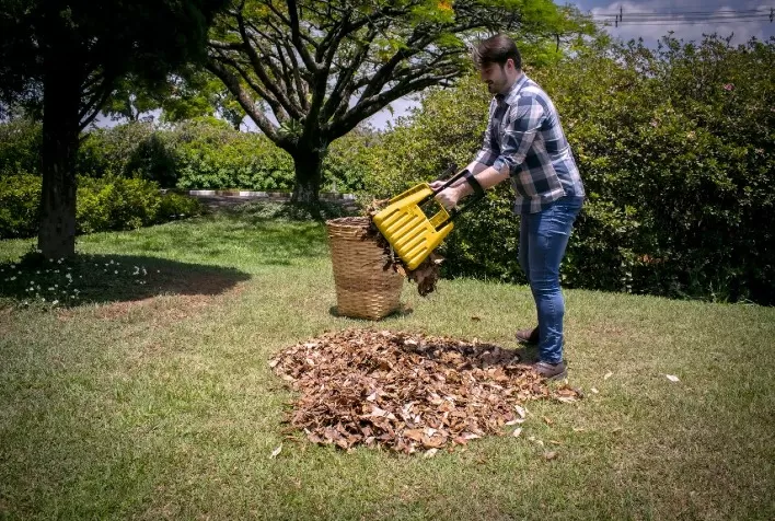 Guarany lança Coletor Manual de Folhas para facilitar limpeza de jardins