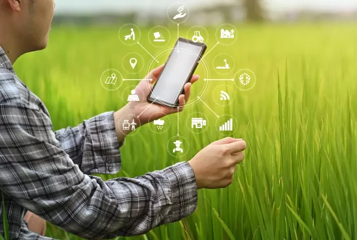 Transformação digital é fundamental para a maximização dos resultados do novo agro brasileiro