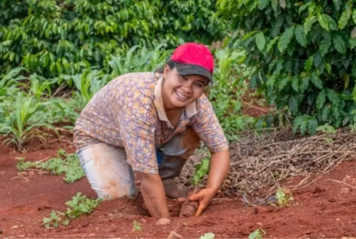 PROCAGICA: Um trabalho em equipe a favor dos produtores de café da América Central