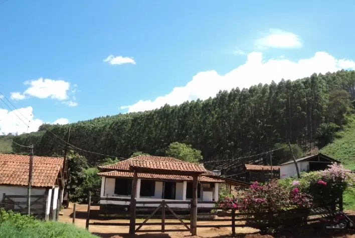 Fomento Florestal da CENIBRA garante renda para produtores rurais