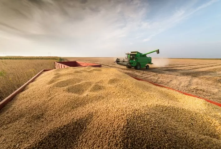 Colheita da soja atinge 80% da área no RS