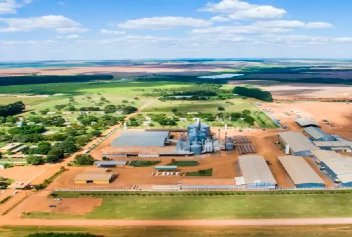 SLC ainda tem para distribuir R$ 199,7 milhões em dividendos