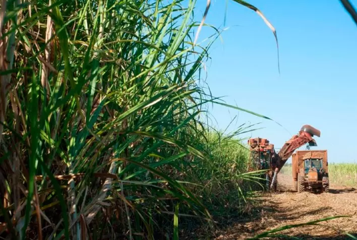 Atvos encerra safra com emissão de 2,4 milhões de créditos de descarbonização