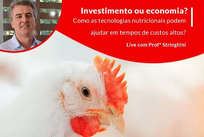 Kemin debate estratégias nutricionais para melhorar desempenho sem impactar custos da dieta das aves