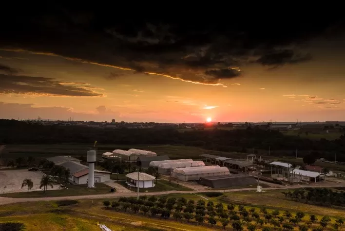 IHARA abre inscrições para estudantes em agronomia