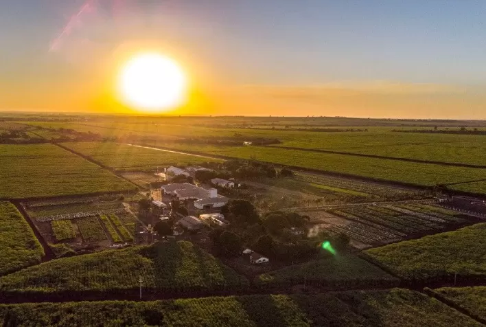 Barenbrug do Brasil conta com programa pioneiro voltado aos canais de distribuição