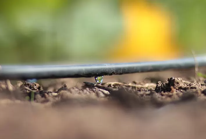 Prática do Drip Protection é evolução nas lavouras do Brasil