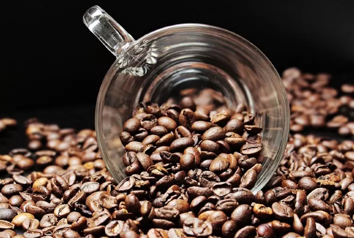 Exportação de café não torrado avança 25,49% em relação ao ano passado