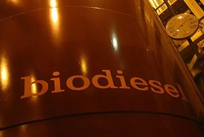 Empresa gaúcha investirá R$148 milhões em usina de biodiesel no Pará