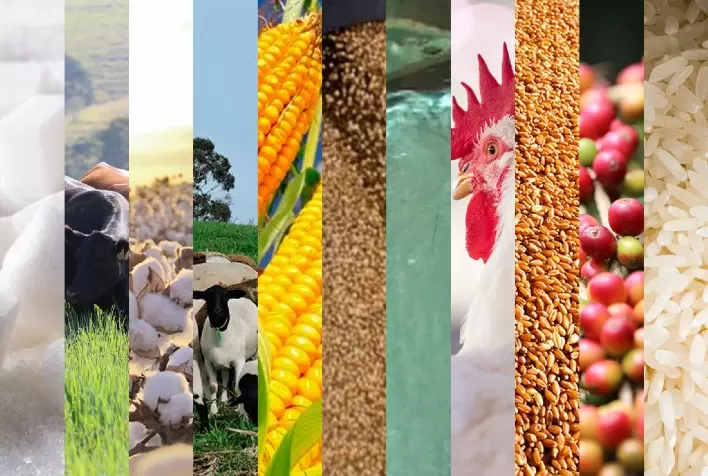 Estão disponíveisas agromensais de ABRIL/2021 do Cepea