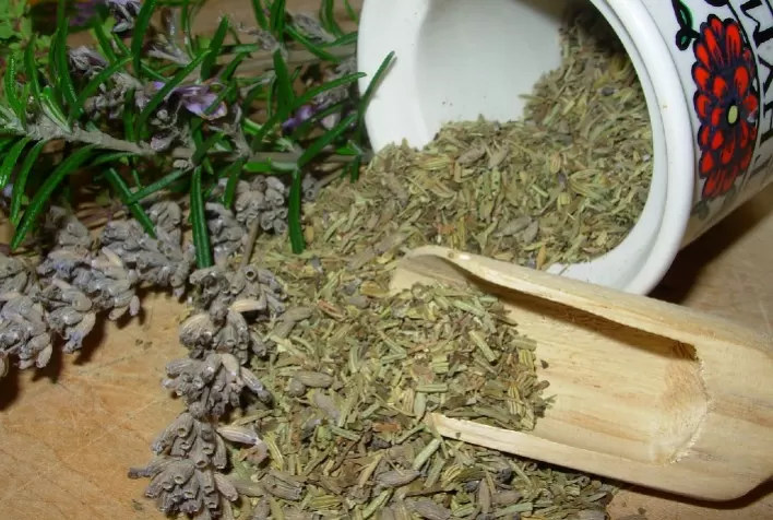 Ervas de Provence: cultive em casa e dê um toque francês nas refeições da família