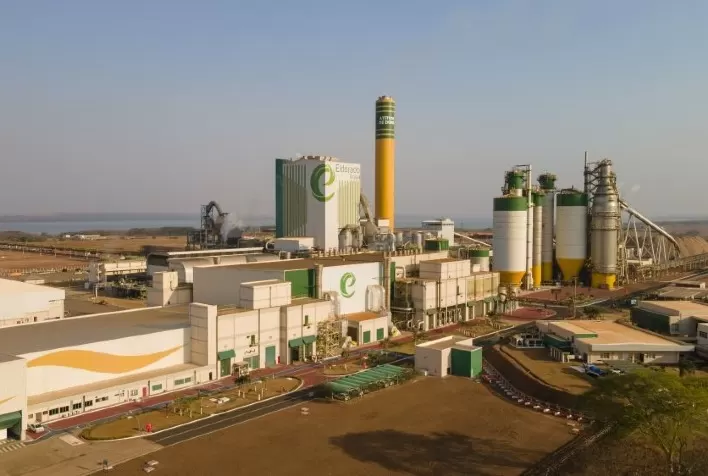 Eldorado Brasil abre 30 vagas para início imediato em Água Clara