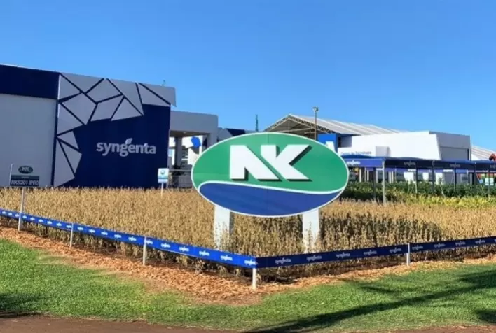 Marca NK da Syngenta lança três cultivares de soja e cinco híbridos de milho safrinha