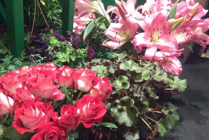 Você sabia que o Brasil cultiva mais de 2,5 mil espécies de flores e plantas?
