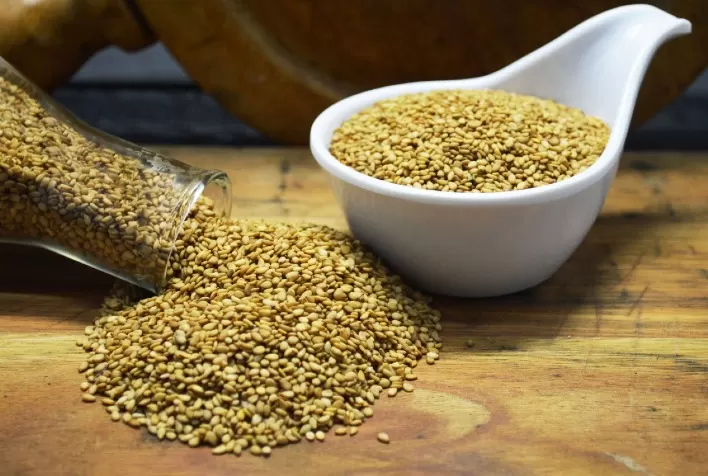 Cultivares de gergelim da Embrapa geram R$ 52,9 milhões aos produtores brasileiros
