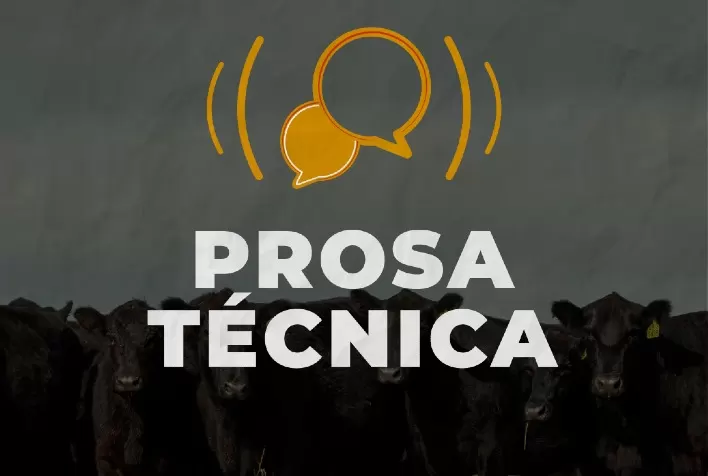 Angus lança projeto Prosa Técnica