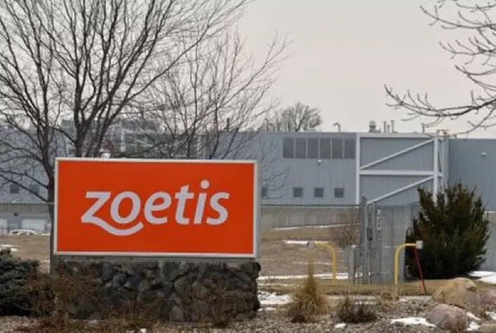 Zoetis reporta faturamento de US$ 1,9 bilhão no primeiro trimestre de 2021