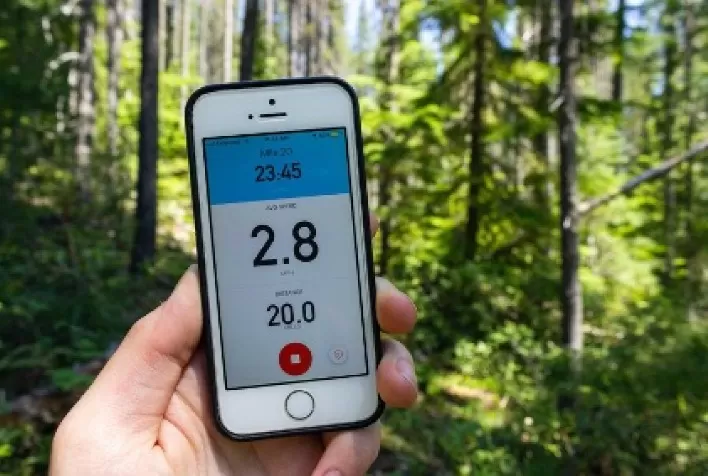 Como o setor de base florestal se automatizou nos últimos anos