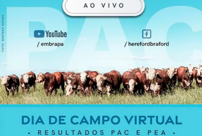 ABHB e Embrapa promovem Dia de Campo Virtual com resultados finais da PAC e PEA