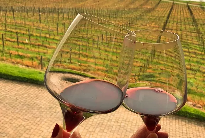 Primeira safra de vinhos com Selo IP Altos Montes recebe certificação