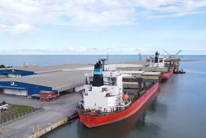 Portocel vai exportar toda a produção da LD Celulose
