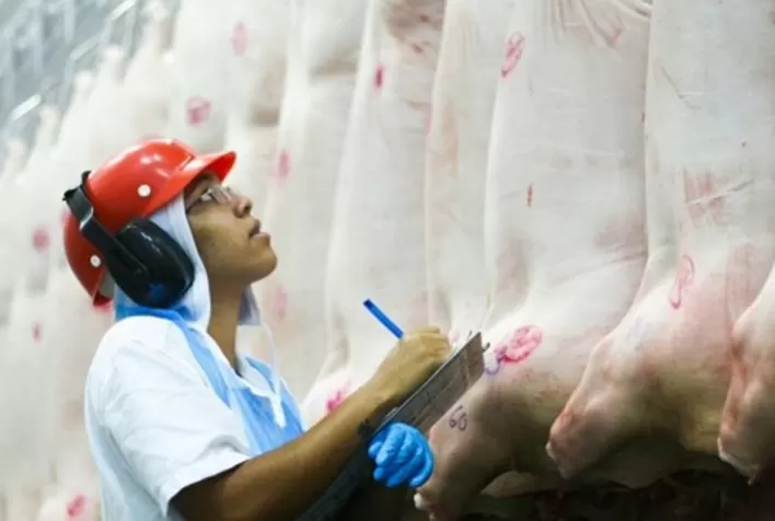 Exportações de carne suína crescem 35,1% em abril