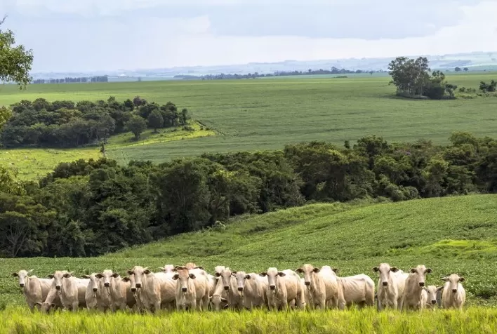 Ferramenta de análise dinamizada vai agilizar a verificação dos dados do CAR pelos estados