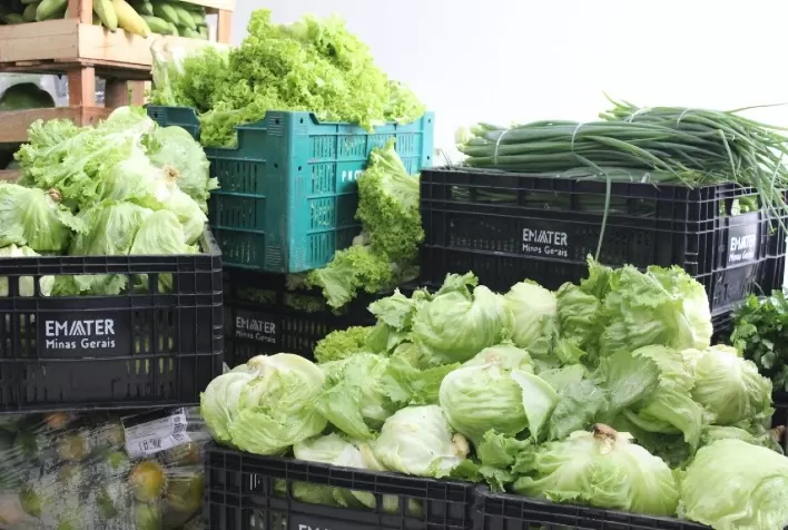 Novos municípios dos vales do Jequitinhonha, Mucuri e Rio Doce aderem ao Programa de Aquisição de Alimentos
