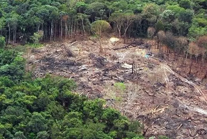 Política ambiental é decisiva para o País