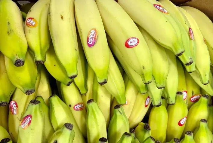Rastreabilidade de bananas brasileiras ganha força no varejo