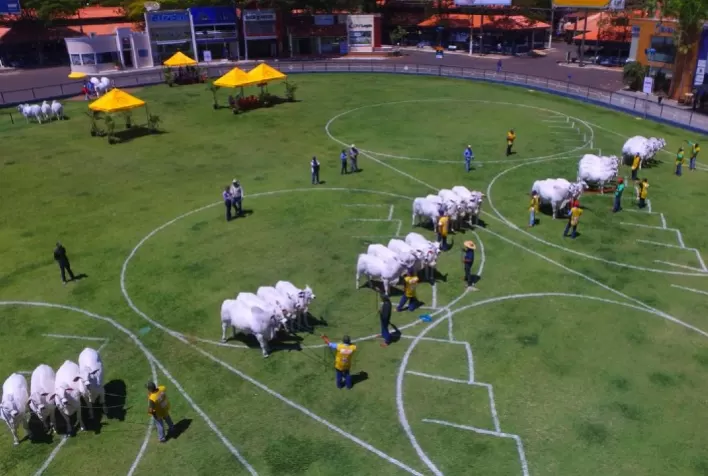 Expoinel 2021, entre 11 e 17 de outubro, em Uberaba (MG)