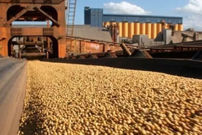 Recordes em soja e carnes elevam embarques do agro