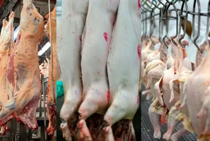 Desempenho exportador das carnes na primeira quinzena de maio de 2021