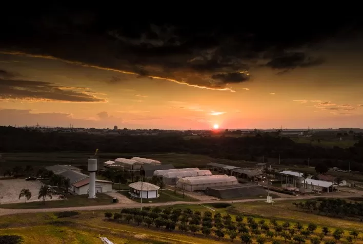 IHARA amplia investimentos no agronegócio brasileiro