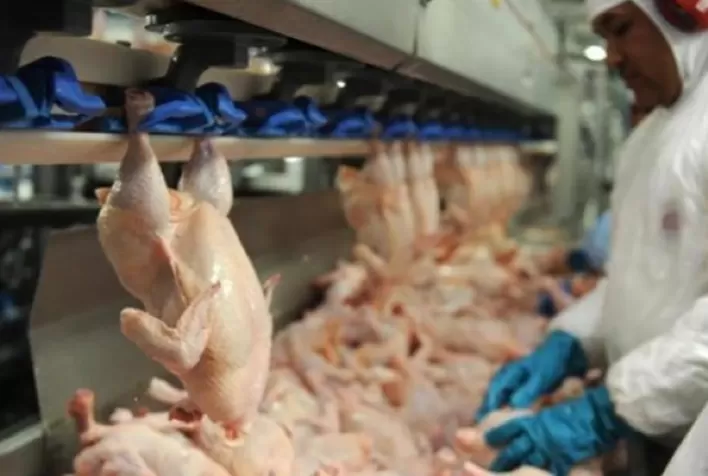 Na exportação de carne de frango, evolução de preço continua limitada ao frango inteiro