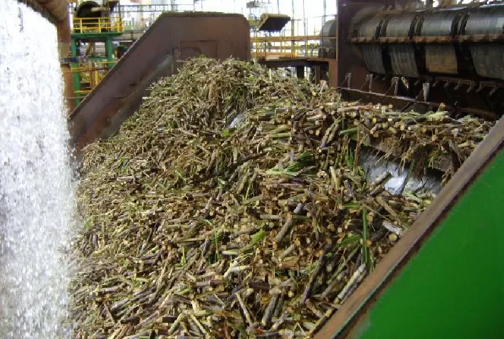 Moagem de cana vai cair 4% em 2021/22 no país, estima CONAB