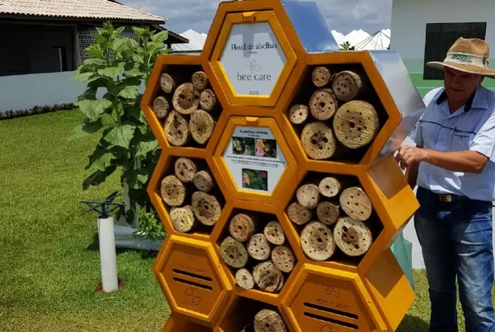 Hotel de Abelhas aumenta produtividade enquanto promove biodiversidade