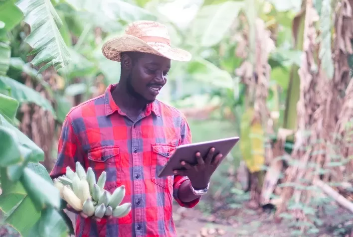 Curso virtual da Bayer em plataforma do IICA contribuirá para a prevenção de praga que ameaça a produção da banana