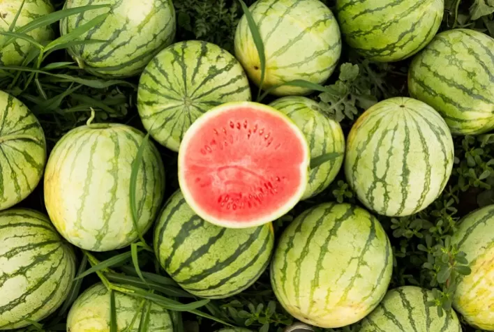 Melancia: Menores temperaturas continuam limitando demanda