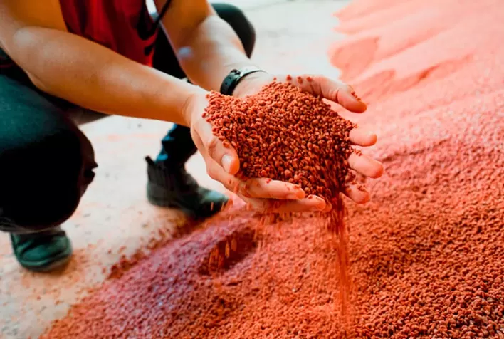 Aumento da demanda por fertilizantes acompanha a alta produção de alimentos no Brasil