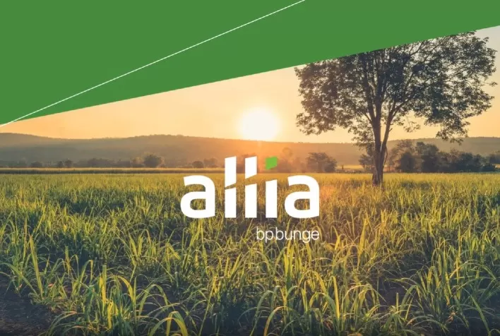 BP Bunge Bioenergia lança o programa Allia, plataforma de negócios exclusiva para fornecedores de cana-de-açúcar