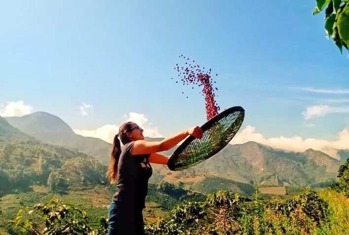 Em evento On-Line, ABIC premia vencedores do 17º Concurso Nacional de Qualidade do Café Origens do Brasil- Safra 2020