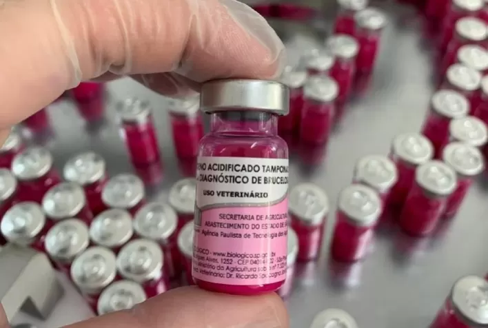 IB disponibiliza ao setor agro frascos de produto para diagnosticar brucelose com menos doses