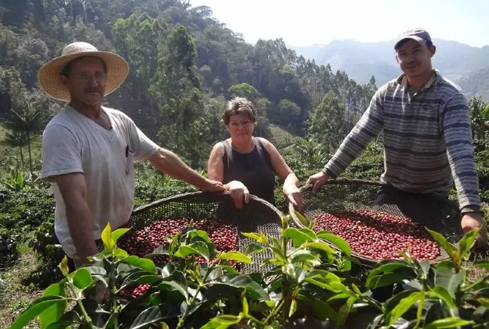 CNA avalia produção de café nos municípios capixabas Brejetuba e Jaguaré