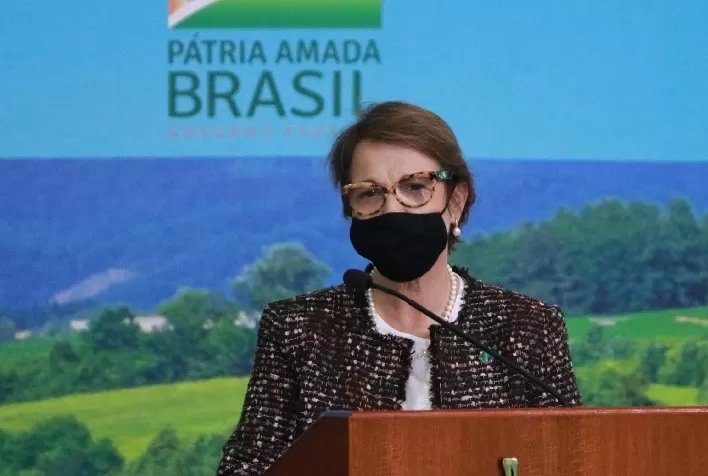 Investir no agro brasileiro faz bem para os negócios e para o meio ambiente, diz ministra Tereza Cristina