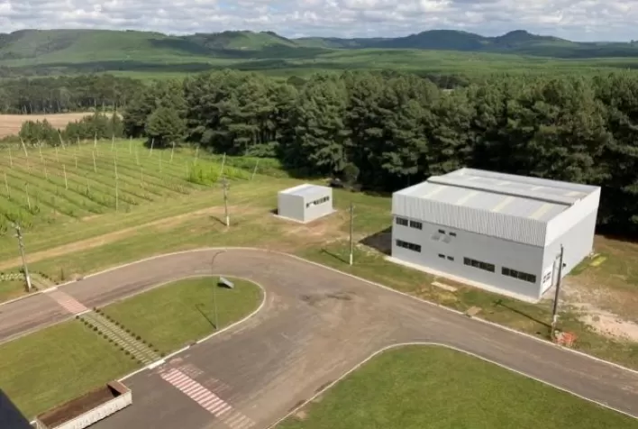 Da flor à matéria-prima: Ambev inaugura primeira linha completa para processamento de lúpulo no Brasil