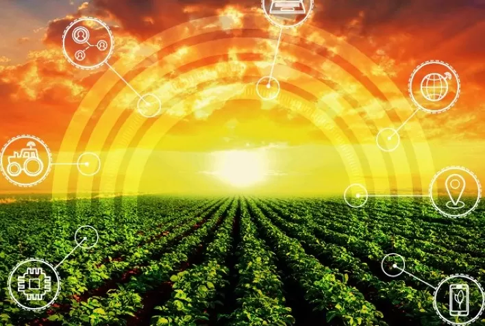Produtores e cooperativas intensificam busca por tecnologia