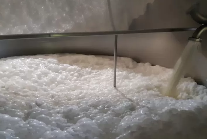 Derivados do leite de búfala são opções saborosas para alimentação saudável